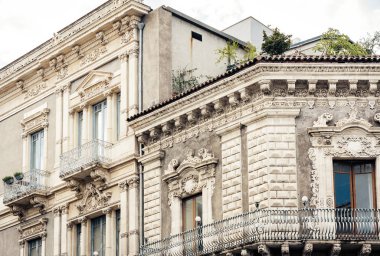 Tarihi bir binada saksıları ve bitkileri olan bir balkon. 