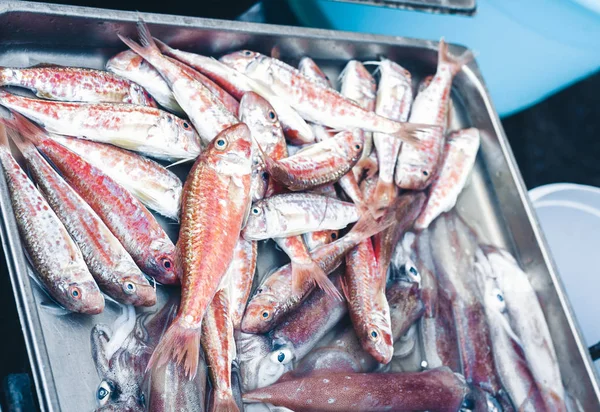 Peixe fresco para venda no mercado de peixe Pescheria de Catania, Sic — Fotografia de Stock
