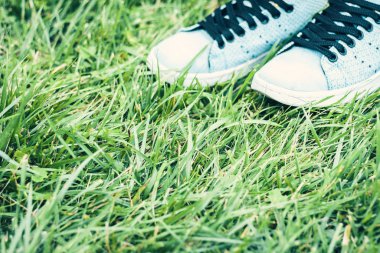 Parktaki çimlerin üzerinde bir çift mavi süet spor ayakkabısı..