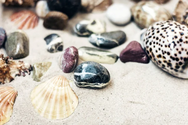 Seashells and stones on the sand, summer beach background travel — Stock Photo, Image