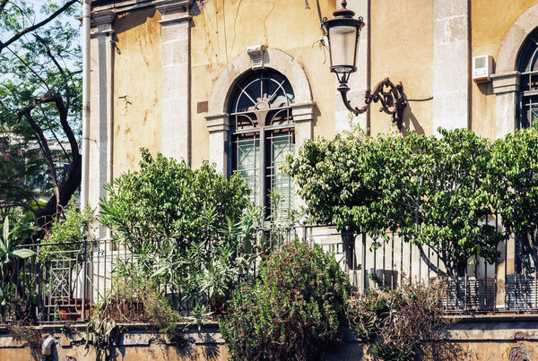 Balcony with flowerpots and house plants in a historic building in Catania, traditional architecture of Sicily, Italy