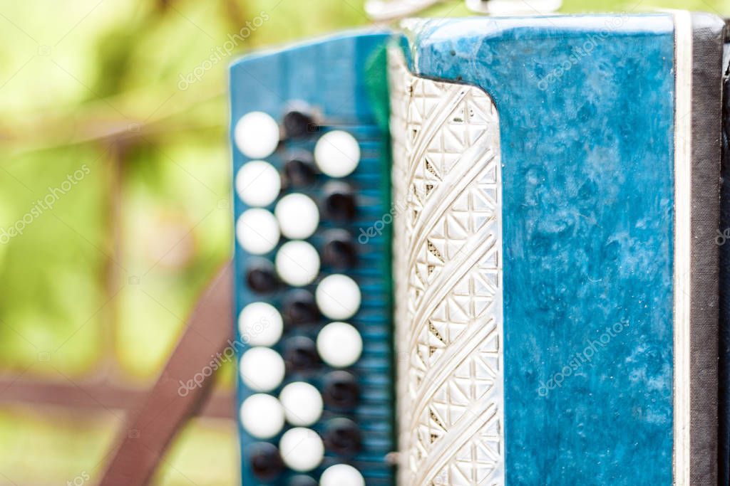 classical retro bayan (accordion), musical instrument .