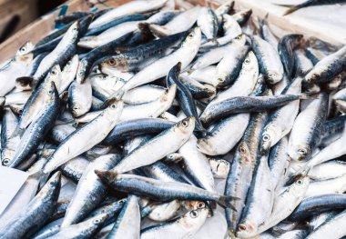 Catania Pescheria balık pazarında taze balık satılıyor.
