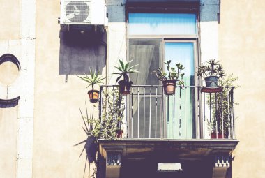 Tarihi bir binada saksıları ve bitkileri olan bir balkon. 