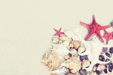 Kumsalda deniz kabukları ve kızıl seastarlar, yaz plajı arka planı. 