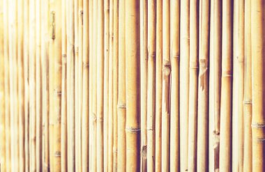 Metin için kopyalama alanı olan bambu arkaplan dokusu.