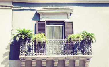 Çiçek saksılarıyla balkon ve tarihi bir kovada ev yapımı palmiyeler.