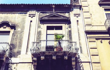 Çiçek saksılarıyla balkon ve tarihi bir kovada ev yapımı palmiyeler.