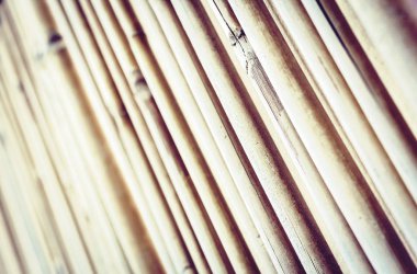 Metin için kopyalama alanı olan bambu arkaplan dokusu.