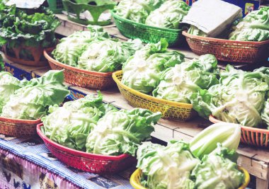 Çeşitli rengarenk taze sebzeler lahana yeşili salata 