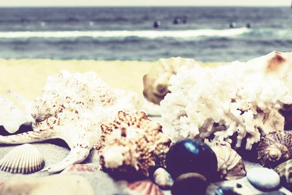 海鸥，沙滩上的石头和海星，海滩上的背影 — 图库照片