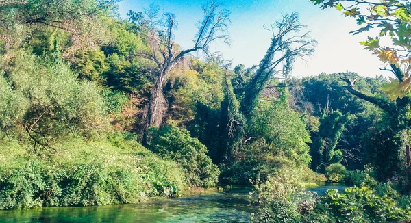 Река Рика с родником Голубая Ия в Албании, знаменитый l — стоковое фото
