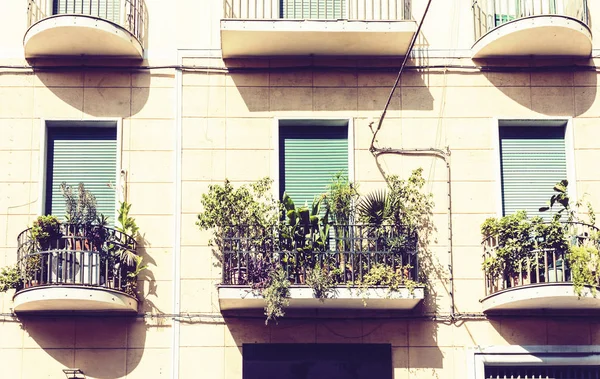 Balkón s květináči a domečky rostlin v historické budově — Stock fotografie
