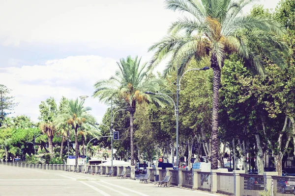 Callejón de palmeras con bancos de metal en el parque de Catania, Sicilia, S — Foto de Stock