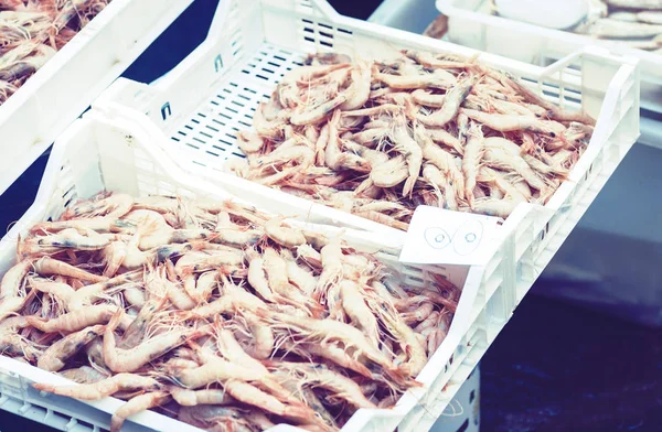 Färska skaldjur röda räkor till salu på fiskmarknaden Pescheria — Stockfoto