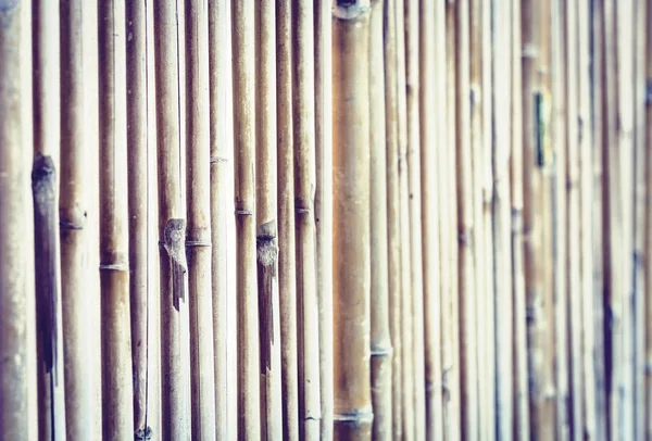 Bamboe achtergrond textuur met kopieerruimte voor tekst. — Stockfoto
