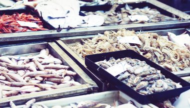 Fresh seafood and fish for sale in the fish market Pescheria of  clipart