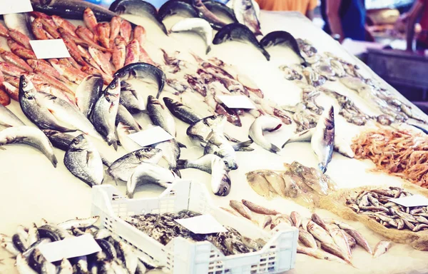 Marisco fresco y pescado para la venta en el mercado de pescado Pescheria de —  Fotos de Stock