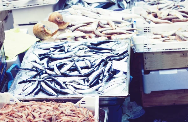 Frutos do mar frescos e peixe para venda no mercado de peixe Pescheria de — Fotografia de Stock