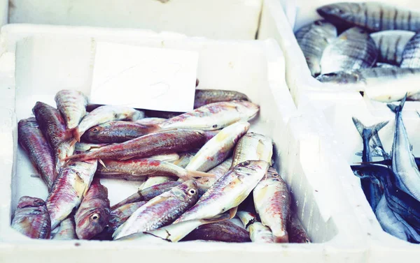 Pescado fresco en venta en el mercado de pescado Pescheria de Catania, Sic —  Fotos de Stock