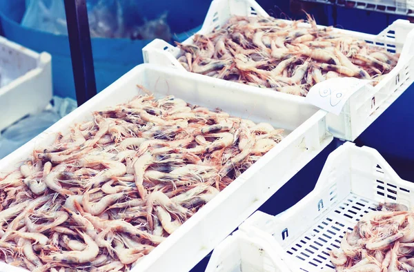 Färska skaldjur till salu på fiskmarknaden Pescheria i Catania, — Stockfoto