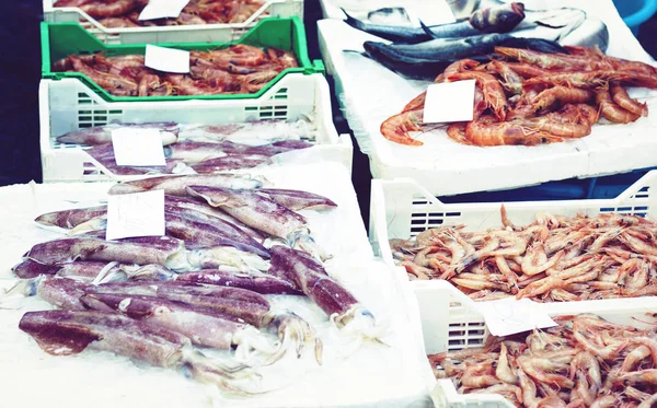 Frutos do mar frescos e peixe para venda no mercado de peixe Pescheria de — Fotografia de Stock