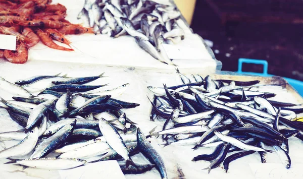 Frutos do mar frescos e peixe para venda no mercado de peixe Pescheria de — Fotografia de Stock