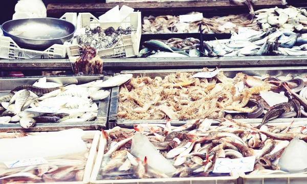 Frutos do mar frescos e peixe para venda no mercado de peixe Pescheria de — Fotografia de Stock