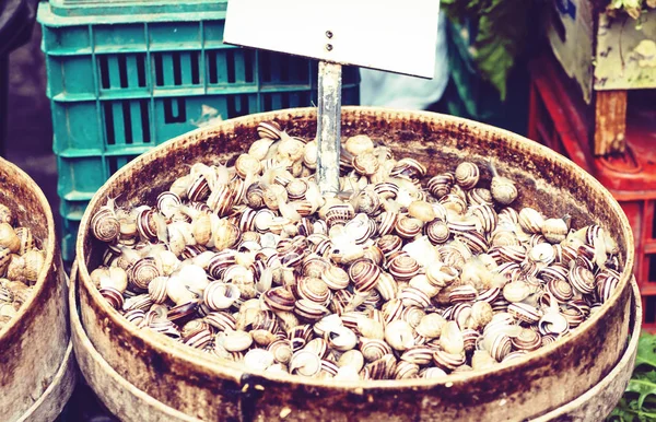 Caracoles crudos vivos para la venta en el mercado de pescado Pescheria de Catani —  Fotos de Stock