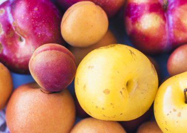 Taze meyve erikleri, şeftaliler, kayısılar arka plan, üst yaşam