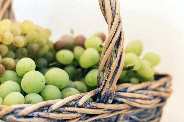 Uvas verdes y azules en una canasta de mimbre sobre fondo blanco, au — Foto de Stock