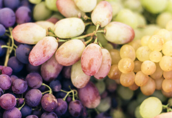 White and blue grapes background texture, autumn harvest.