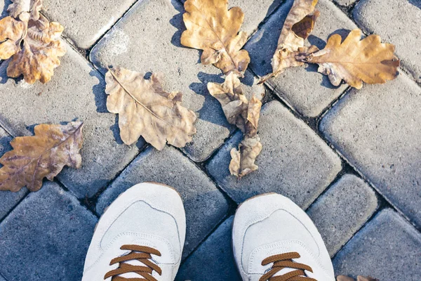 Sport skor sneakers på bakgrunden av torra gula blad på t — Stockfoto