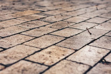 Kaldırım taşları, parktaki kaldırım yolu, taş levhalarla kaplanmış.