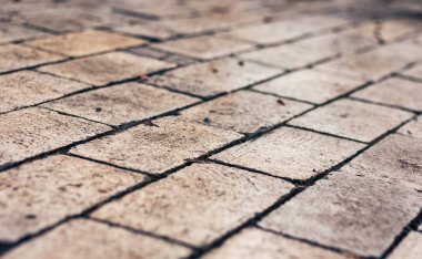 Yağmurda kaldırım taşları, parkta kaldırım yolları..