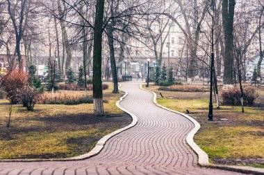 Sonbahar parkında asfalt yolda Yağmurlu bir günde Sonbahar kırsalında