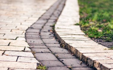 Parkta kaldırım taşları, yeşil çimenli kaldırım yolu...