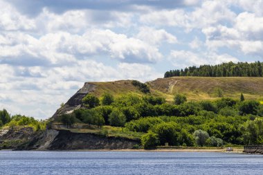 Orta Rus manzarası. yaz alanları