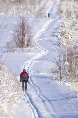 Rusya 'nın merkezinde güneşli bir günde kış ormanı. Yalnız gezgin..