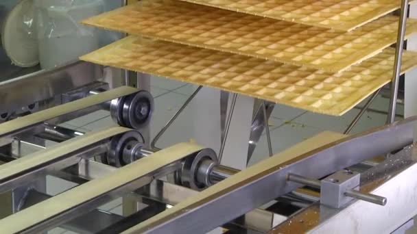 Produção Confeitaria Linha Para Produção Chocolates Uma Carcaça Waffle — Vídeo de Stock