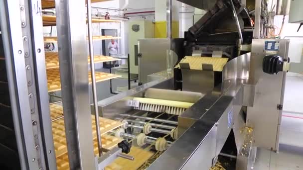 Produzione Dolciaria Linea Produzione Cioccolatini Involucro Waffle — Video Stock