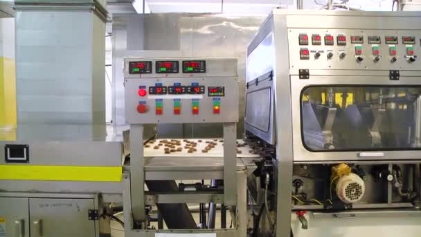 Şekerleme Üretimi Waffle Evinde Çikolata Üretimi Kuyruğu — Stok video