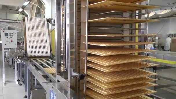 Produzione Dolciaria Linea Produzione Cioccolatini Involucro Waffle — Video Stock