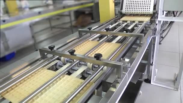 Suikerwerk Productie Lijn Voor Productie Van Chocolade Een Wafelbehuizing — Stockvideo