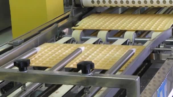 Suikerwerk Productie Lijn Voor Productie Van Chocolade Een Wafelbehuizing — Stockvideo
