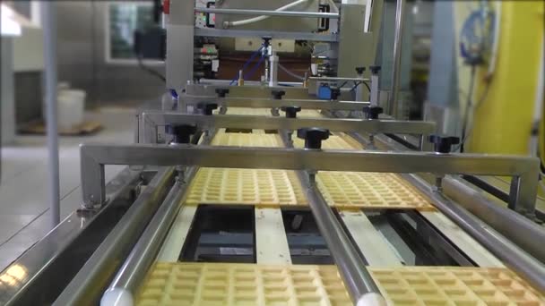 Şekerleme Üretimi Waffle Evinde Çikolata Üretimi Kuyruğu — Stok video