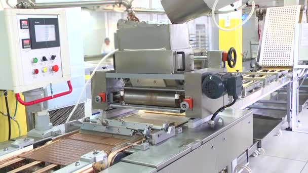 Produzione Dolciaria Linea Produzione Cioccolatini Involucro Waffle — Video Stock