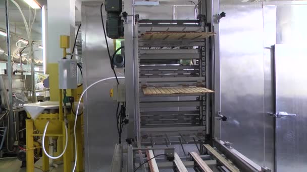 Produzione Dolciaria Linea Produzione Cioccolatini Involucro Waffle — Video Stock