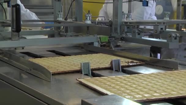 Suikerwerk Productie Lijn Voor Productie Van Chocolade Een Wafelbehuizing — Stockvideo