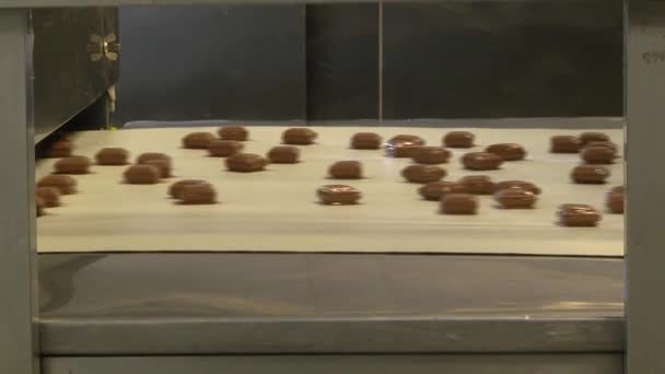 Produção Confeitaria Linha Para Produção Chocolates Uma Carcaça Waffle — Vídeo de Stock